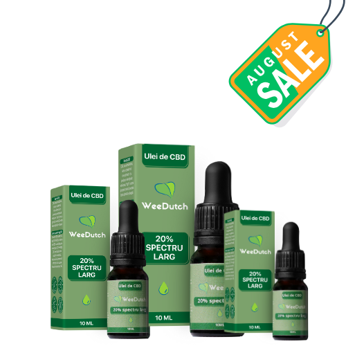 CBD Extract Premium 20% - 3 pack
